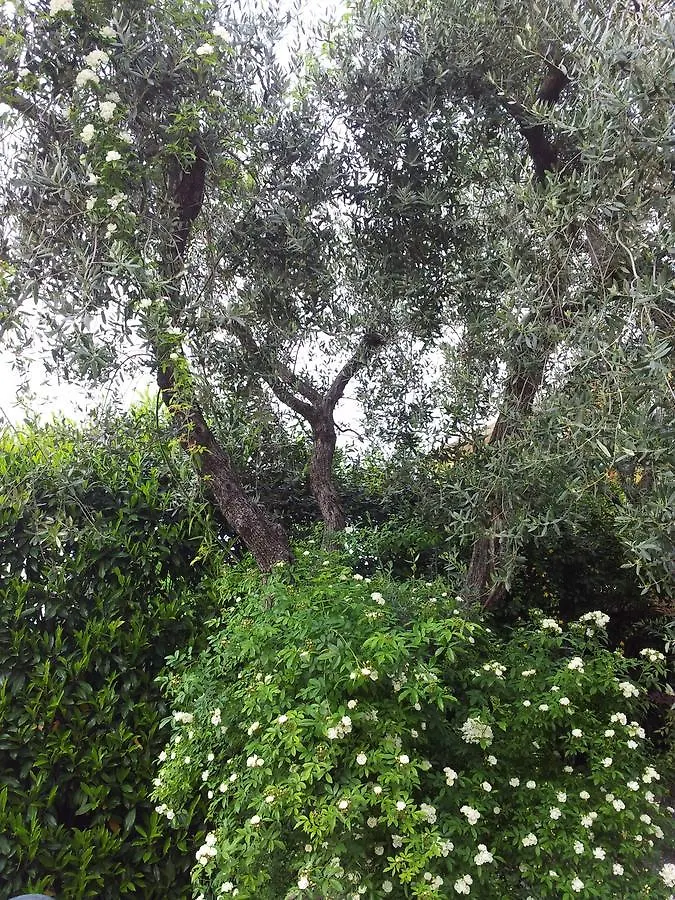 Bed & Breakfast Debora Maison B&B Colombare Di Sirmione Italy
